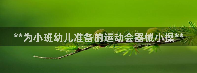 z6com尊龙凯时：**为小班幼儿准备的运动会器械小