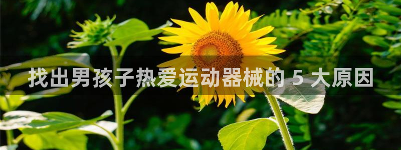 尊龙凯时人生就是搏!平台：找出男孩子热爱运动器械的 