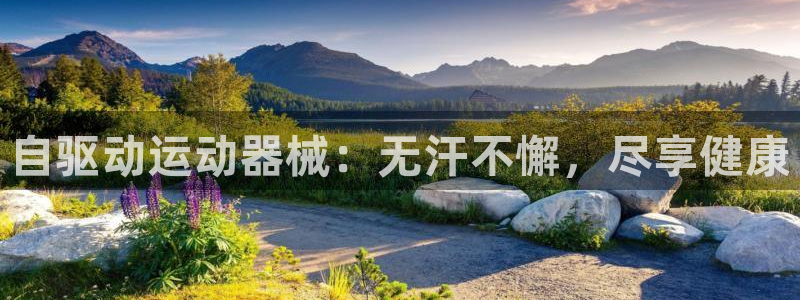 尊龙凯时不给提款：自驱动运动器械：无汗不懈，尽享健康