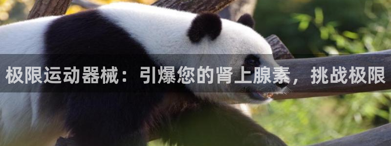 尊龙人生就是博i可靠吗：极限运动器械：引爆您的肾上腺