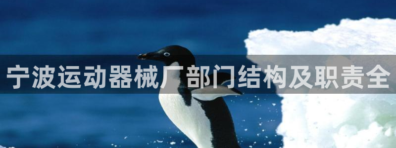 凯时k66官方发布：宁波运动器械厂部门结构及职责全