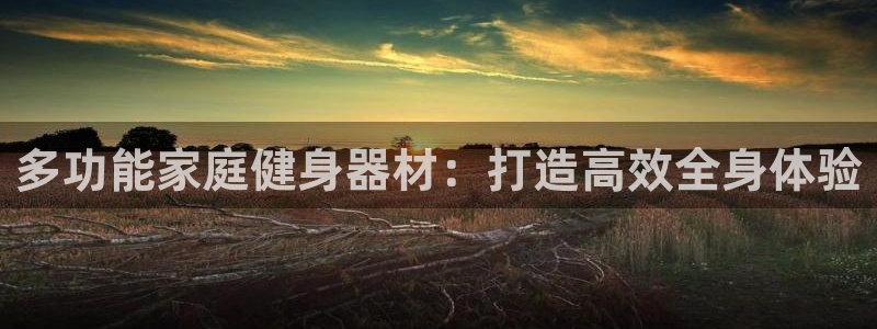 尊龙z6集团：多功能家庭健身器材：打造高效全身体验