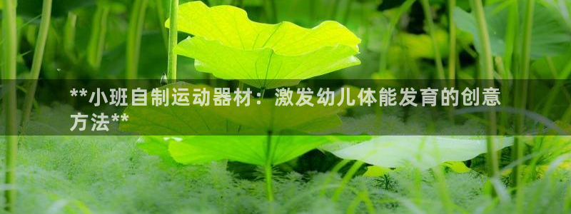 凯时平台登录