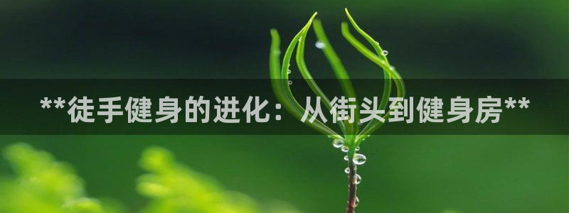 尊龙信息科技有限公司：**徒手健身的进化：从街头到健