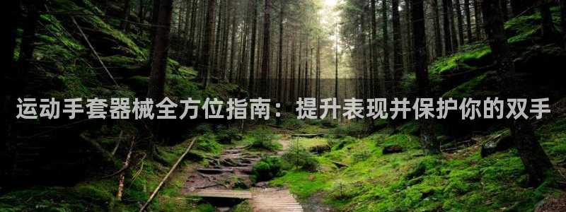 尊龙凯时能不能提现?：运动手套器械全方位指南：提升表