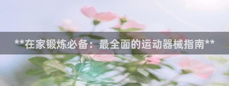 凯时官网手机版下载：**在家锻炼必备：最全面的运动器