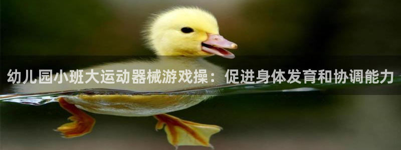 凯时k88最新：幼儿园小班大运动器械游戏操：促进身体