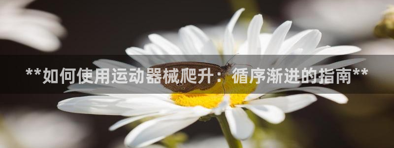 凯时kb88官方：**如何使用运动器械爬升：循序渐进