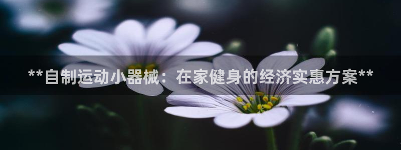 凯时kb88公司简介：**自制运动小器械：在家健身的