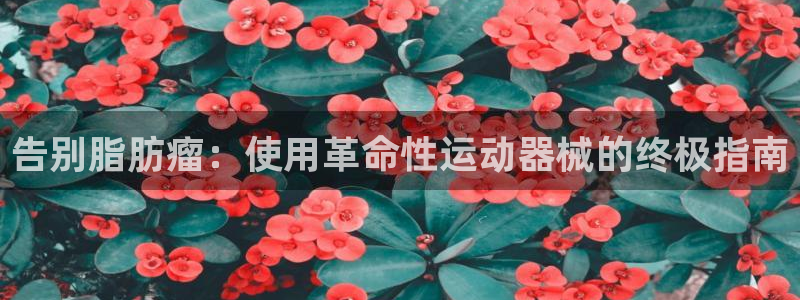 尊龙凯时登陆入口