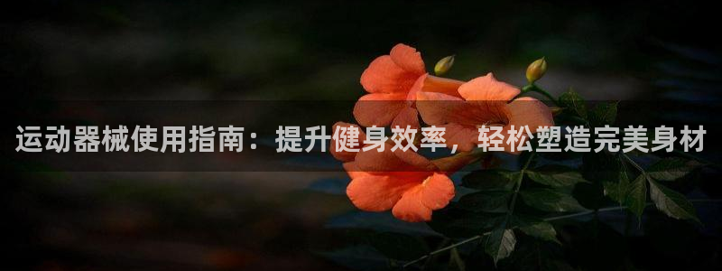 尊龙z6官网ag：运动器械使用指南：提升健身效率，轻