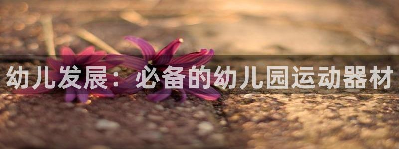 尊龙人生就是博官方官网：幼儿发展：必备的幼儿园运动器