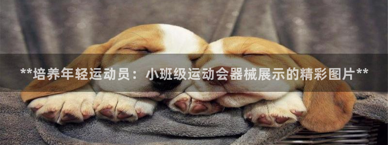 z6尊龙凯时官方：**培养年轻运动员：小班级运动会器