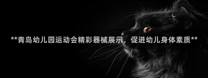 尊龙凯时官网入口：**青岛幼儿园运动会精彩器械展示，