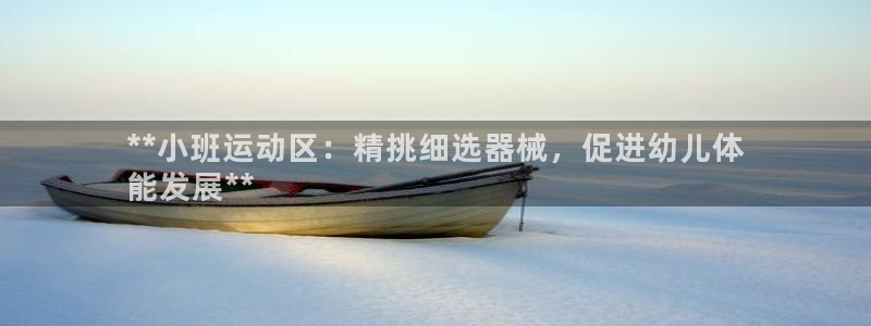 尊龙凯时代理能提出来不：**小班运动区：精挑细选器械