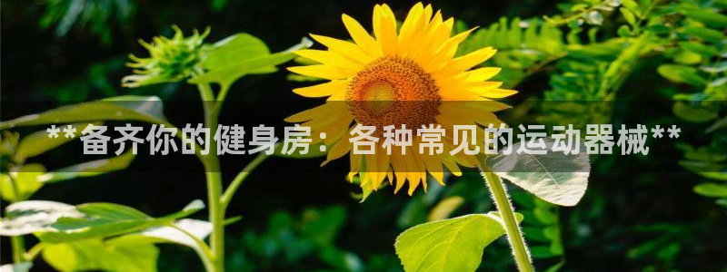 尊龙凯时百万奖池：**备齐你的健身房：各种常见的运动
