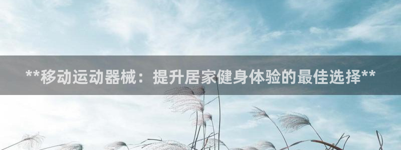 尊龙官网APP下载：**移动运动器械：提升居家健身体