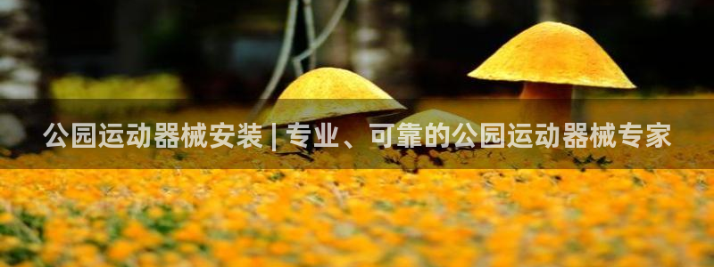 尊龙凯时输了100万：公园运动器械安装 | 专业、可