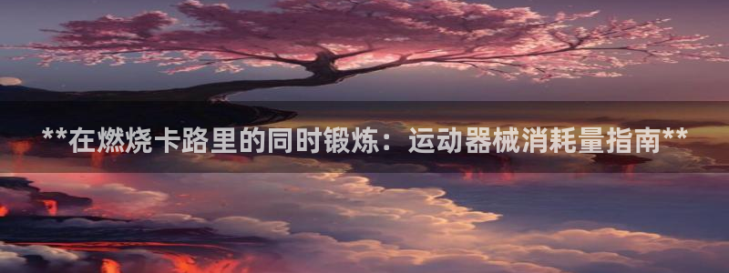 凯时国际官方版：**在燃烧卡路里的同时锻炼：运动器械