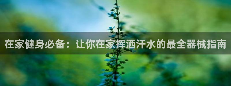 尊龙凯时有假么：在家健身必备：让你在家挥洒汗水的最全