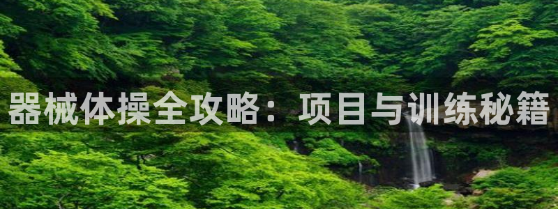 尊龙人生就是博首页入口：器械体操全攻略：项目与训练秘