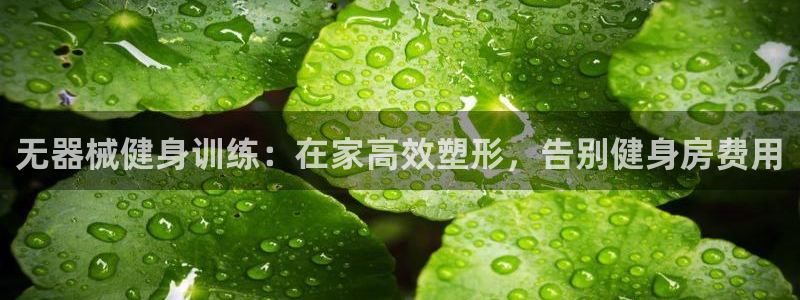 尊龙凯时下载链接：无器械健身训练：在家高效塑形，告别