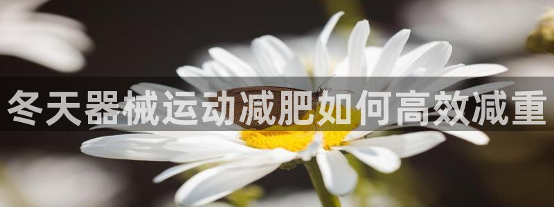 尊龙凯时人生就是搏!平台
