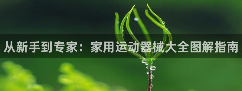 尊龙凯时人生就是搏首页：从新手到专家：家用运动器械大