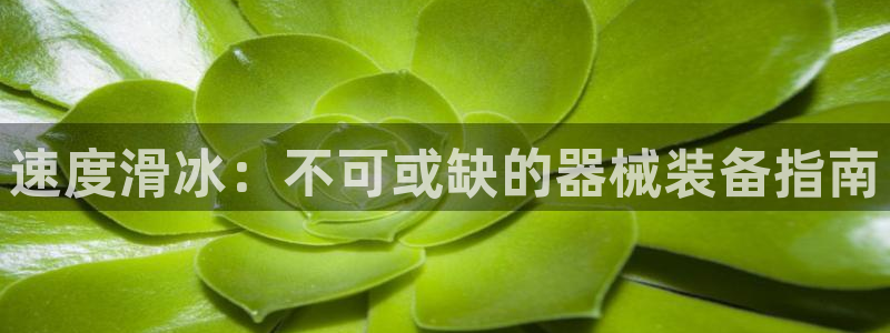 尊龙官网下载：速度滑冰：不可或缺的器械装备指南