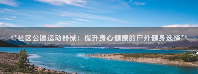d88尊龙手机登录下载：**社区公园运动器械：提升身