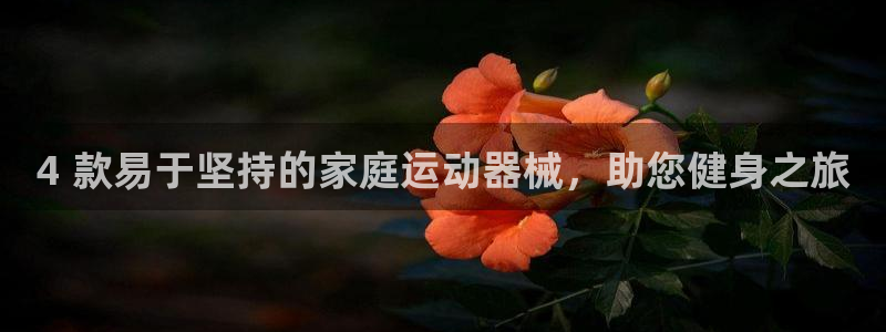 尊龙一人生就是博尊：4 款易于坚持的家庭运动器械，助