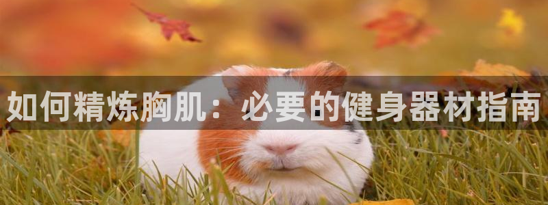 尊龙新版官网网页版：如何精炼胸肌：必要的健身器材指南