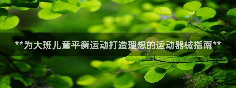 尊龙凯时产品系列：**为大班儿童平衡运动打造理想的运
