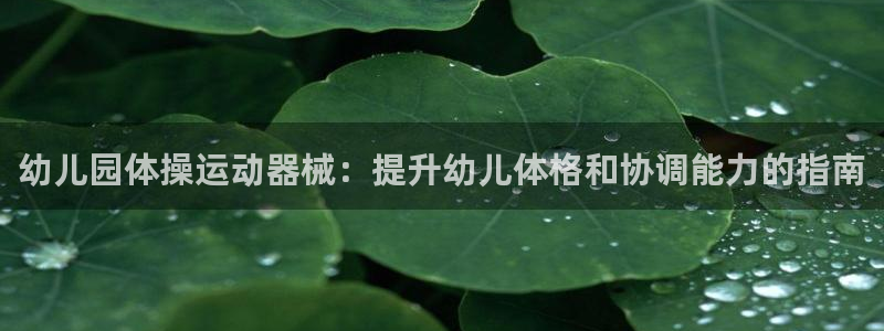 尊龙凯时ag旗舰厅：幼儿园体操运动器械：提升幼儿体格