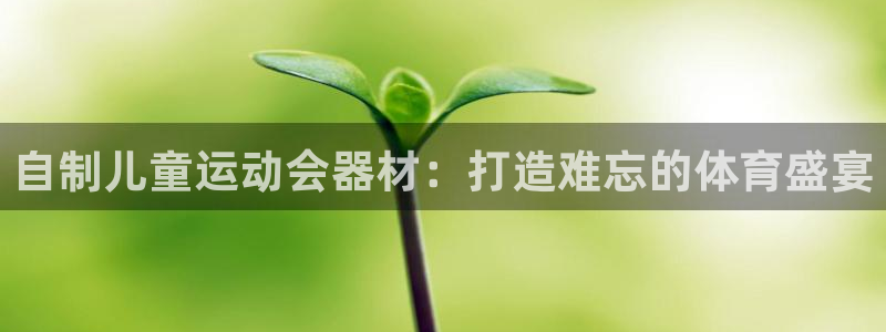 尊龙品牌怎么样：自制儿童运动会器材：打造难忘的体育盛宴