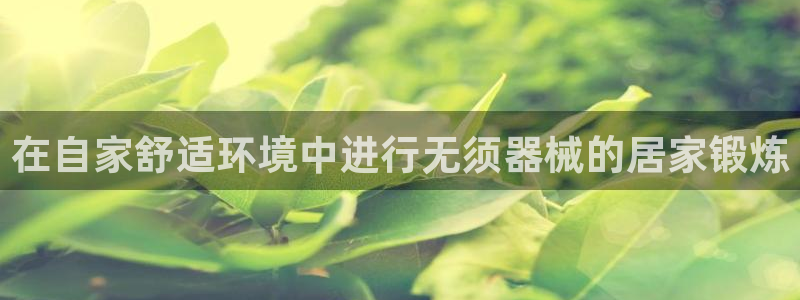 尊龙官网：在自家舒适环境中进行无须器械的居家锻炼