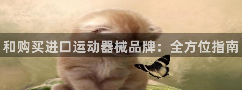 尊龙集团有限公司官网：和购买进口运动器械品牌：全方位