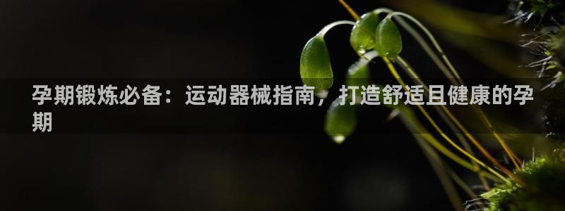 尊龙凯时法拉币：孕期锻炼必备：运动器械指南，打造舒适