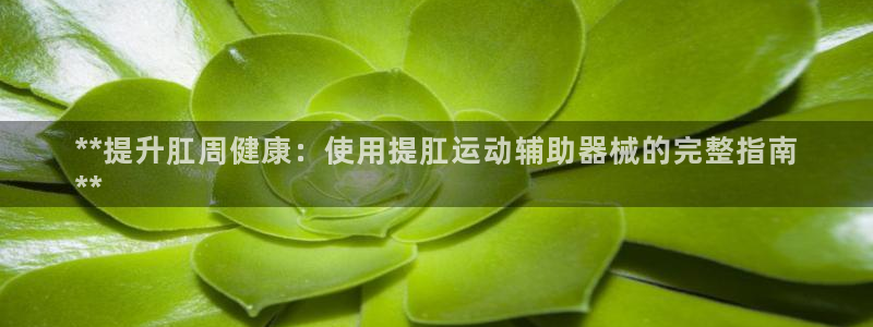 尊龙手机客户端下载APP：**提升肛周健康：使用提肛
