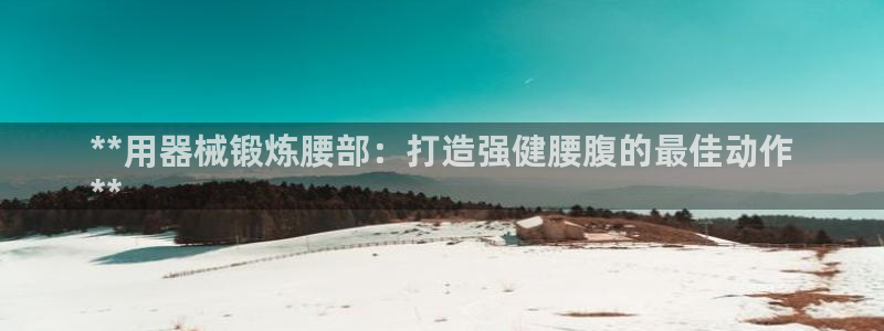 尊龙500价格：**用器械锻炼腰部：打造强健腰腹的最
