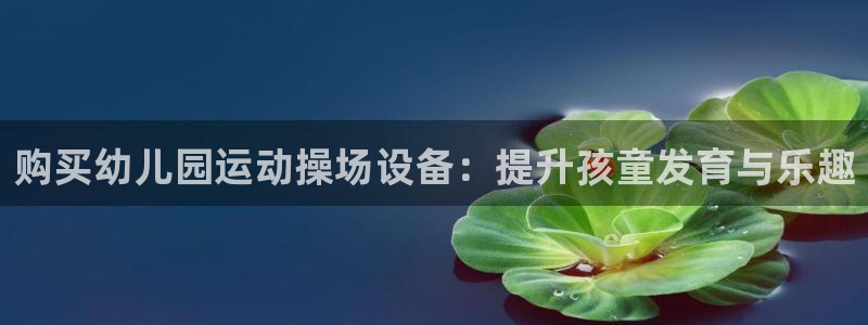 尊龙网站注册站注册：购买幼儿园运动操场设备：提升孩童