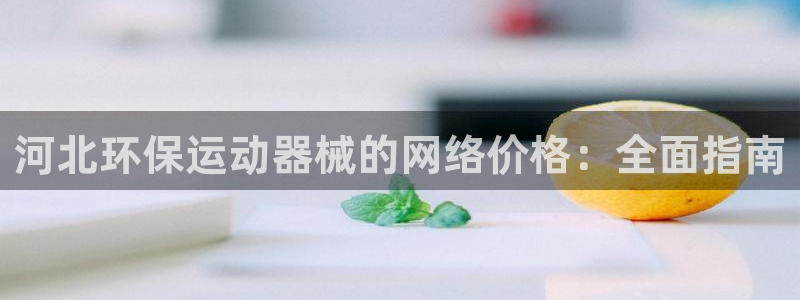 尊龙旗舰app：河北环保运动器械的网络价格：全面指南