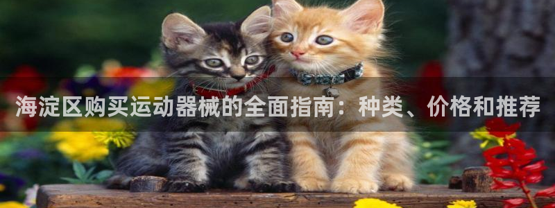 尊龙凯时官网正规吗：海淀区购买运动器械的全面指南：种