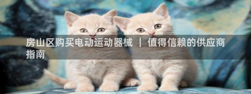 尊龙人生就是-首页(中国)有限公司：房山区购买电动运