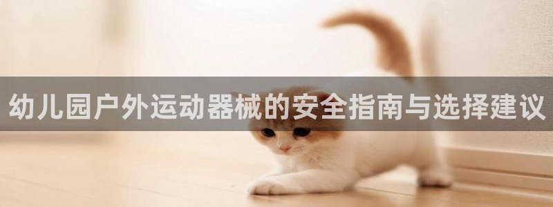 尊龙凯时公司官网：幼儿园户外运动器械的安全指南与选择