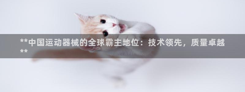 尊龙传奇英文怎么写：**中国运动器械的全球霸主地位：