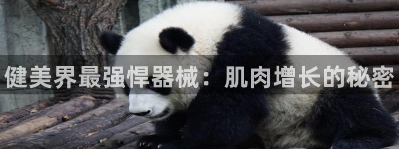 尊龙人生就是博手机版下载：健美界最强悍器械：肌肉增长