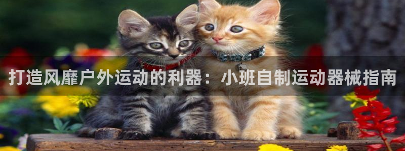 尊龙凯时人生就是博·(中国)官网最新：打造风靡户外运