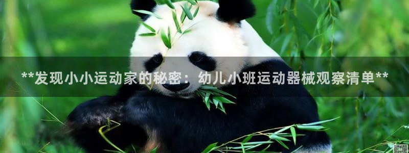 怎样能成为尊龙凯时平台的会员：**发现小小运动家的秘