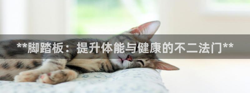 尊龙官网手：**脚踏板：提升体能与健康的不二法门**